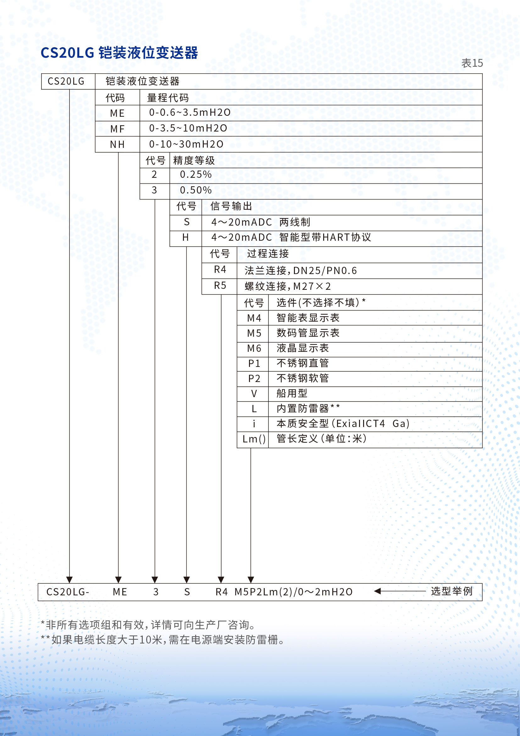CS20LG鎧裝液位變送器詳情頁(yè)2.jpg
